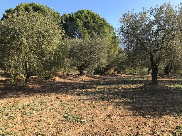 Terreno en venta en Anoia, Catalunya