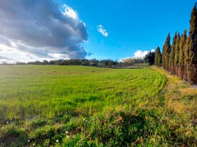 Terreno en venta en Brunete Terreno en venta en Brunete