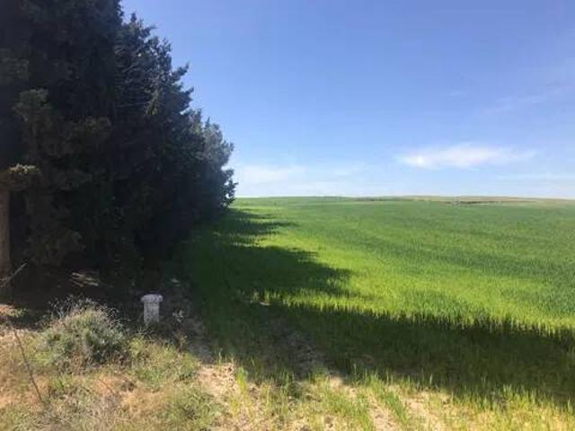 Terreno en venta en Brunete, Madrid