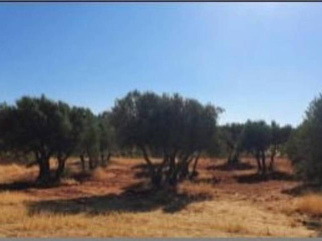 Terreno en venta en Buenache De Alarcón, Castilla-La Mancha