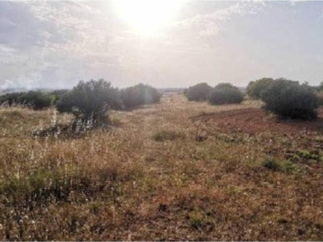 Terreno en venta en Buenache De Alarcón, Castilla-La Mancha