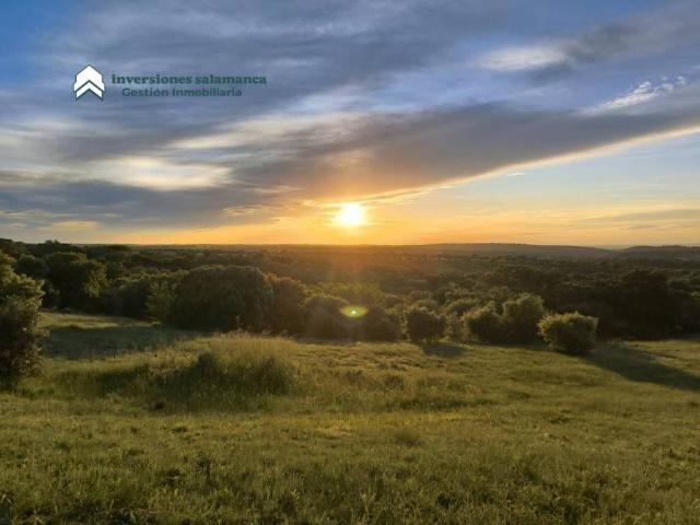 Terreno en venta en Buenavista, Castilla y León