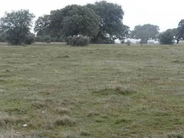Terreno en venta en Buenavista, Castilla y León