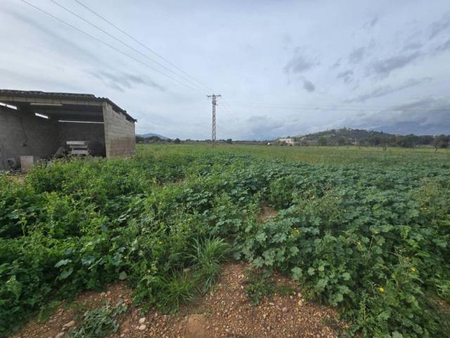 Terreno en venta en Raiguer, Baleares