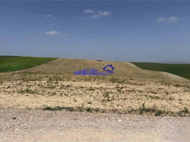 Terreno en venta en Bujalance, Andalucía
