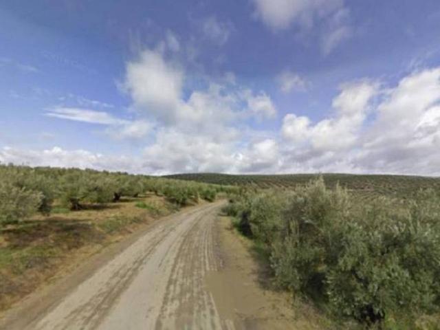 Terreno en venta en Cañete De Las Torres, Andalucía