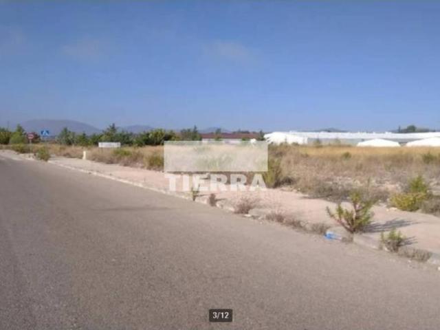 Terreno en venta en Noroeste, Murcia