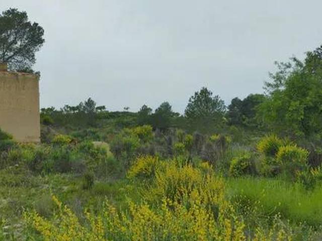 Terreno en venta en Noroeste, Murcia