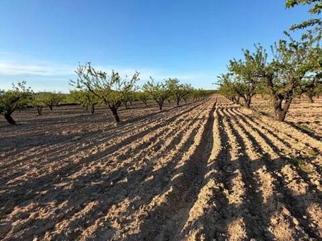 Terreno en venta en Noroeste, Murcia