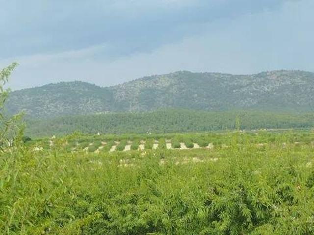 Terreno en venta en Noroeste, Murcia