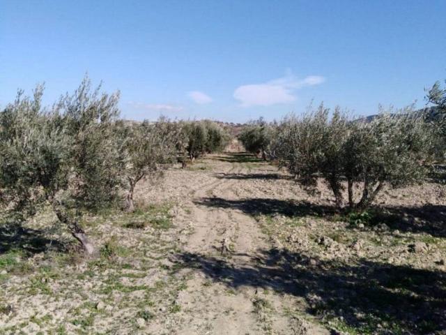 Terreno en venta en Noroeste, Murcia