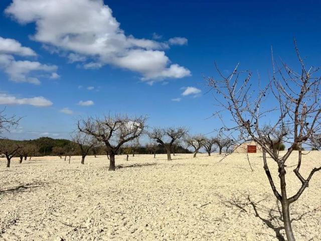 Terreno en venta en Noroeste, Murcia