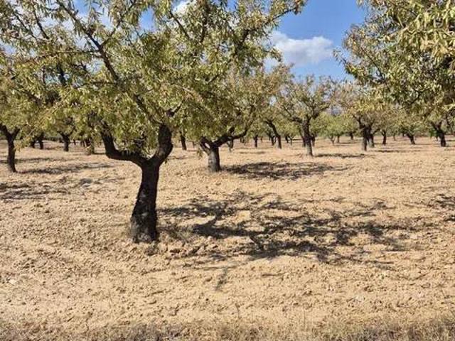 Terreno en venta en Noroeste, Murcia