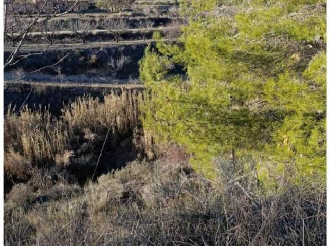 Terreno en venta en Noroeste, Murcia
