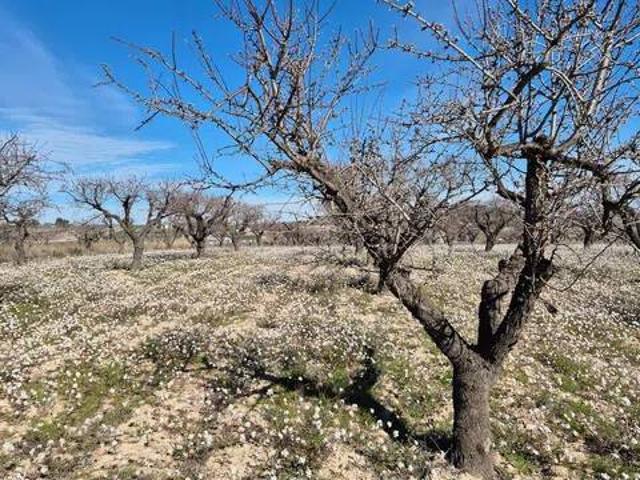 Terreno en venta en Noroeste, Murcia