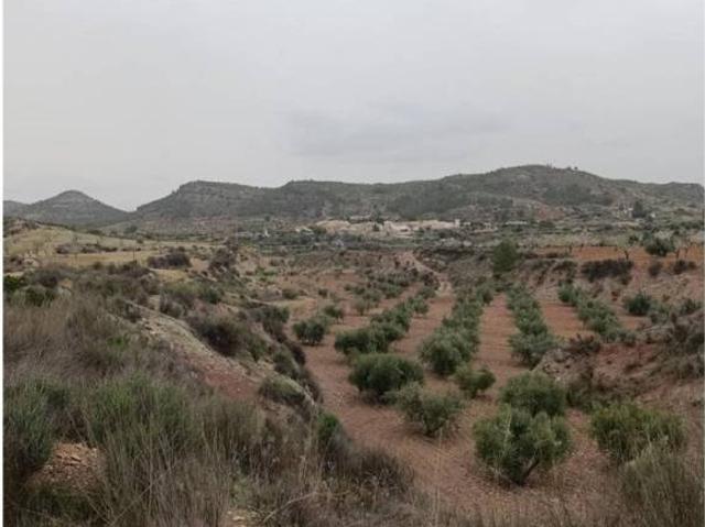 Terreno en venta en Noroeste, Murcia