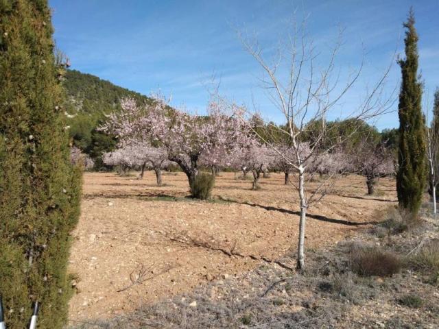 Terreno en venta en Noroeste, Murcia