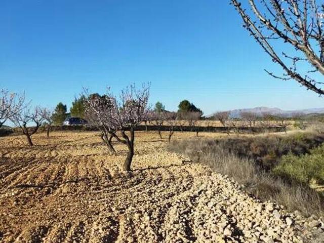 Terreno en venta en Noroeste, Murcia