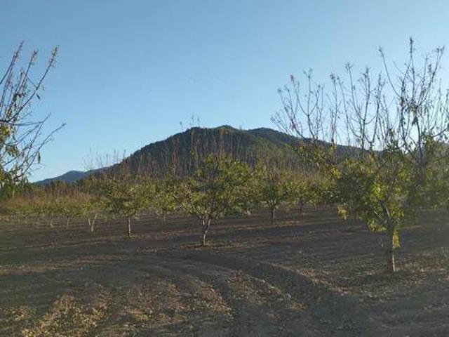 Terreno en venta en Noroeste, Murcia