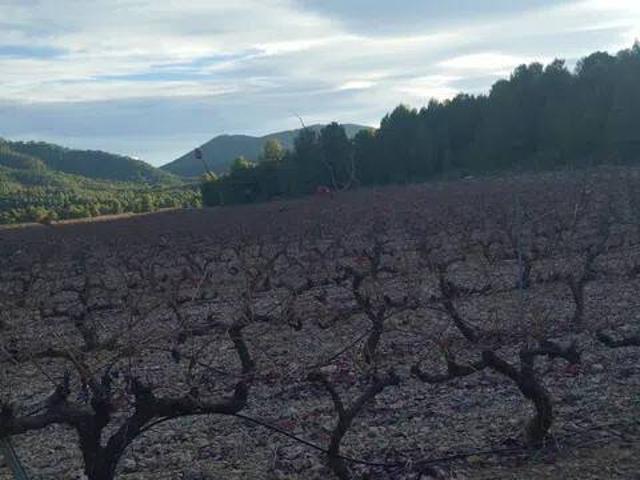 Terreno en venta en Noroeste, Murcia