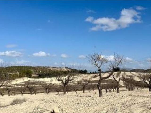 Local Comercial en venta en Noroeste, Murcia
