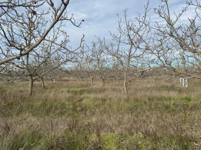 Terreno en venta en Diguillín, San Ignacio