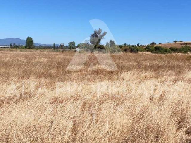 Terreno en venta en Diguillín, San Ignacio