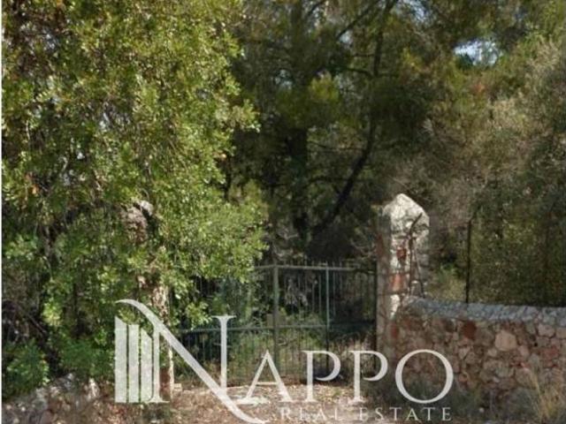 Terreno en venta en Serra de Tramuntana, Baleares