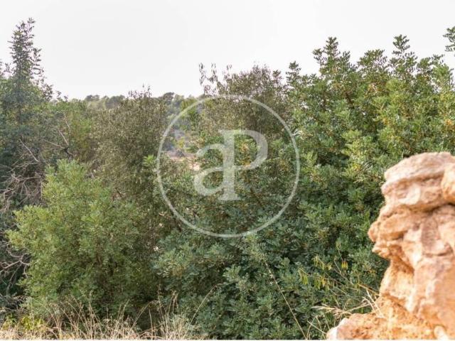 Terreno en venta en Serra de Tramuntana, Baleares