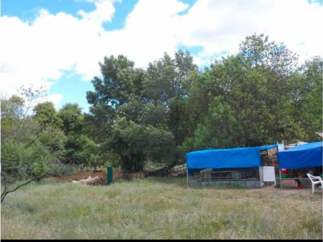 Terreno en venta en Burgohondo, Castilla y León