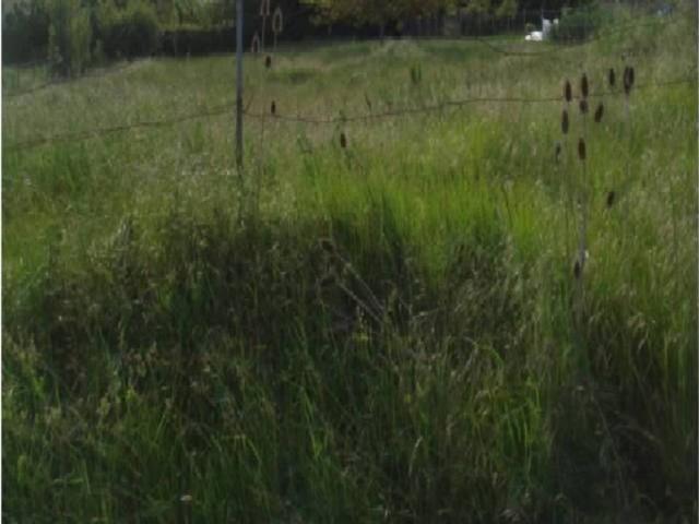 Terreno en venta en Burgos, Castilla y León
