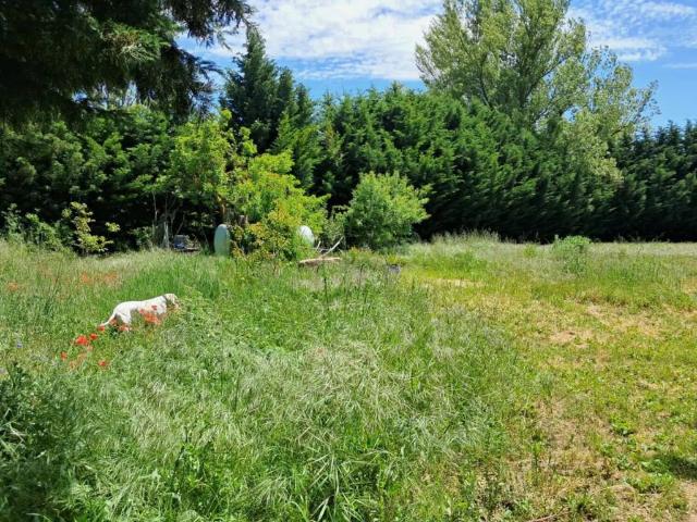 Terreno en venta en Residencial La Rebolleda, Burgos
