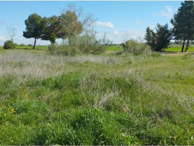 Terreno en venta en Burguillos De Toledo