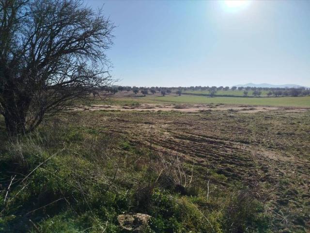 Terreno en venta en Burguillos De Toledo, Castilla-La Mancha