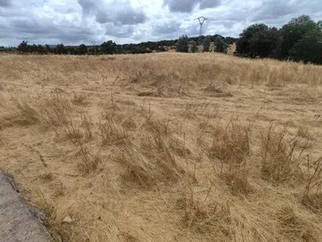 Terreno en venta en Zafra - Río Bodión, Extremadura