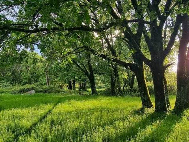 Terreno en venta en Sexmo de Lozoya, Bustarviejo