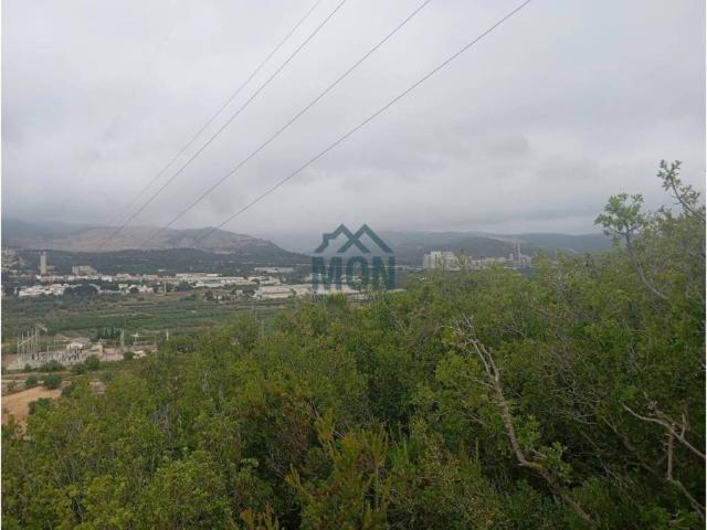 Terreno en venta en La Hoya de Buñol, Valencia