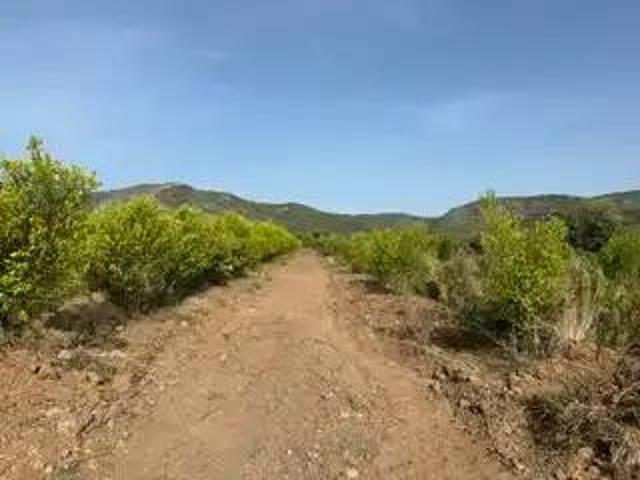 Terreno en venta en la Plana Alta, Valencia