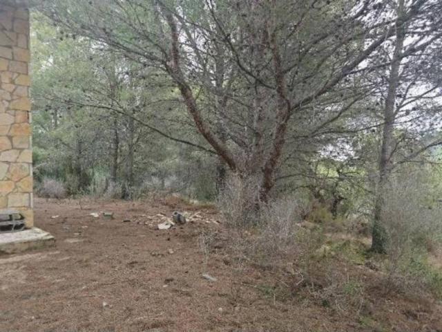 Terreno en venta en la Plana Alta, Valencia