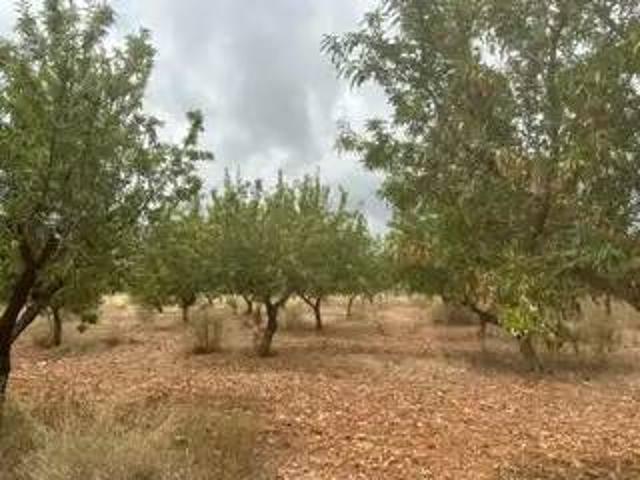 Terreno en venta en la Plana Alta, Valencia