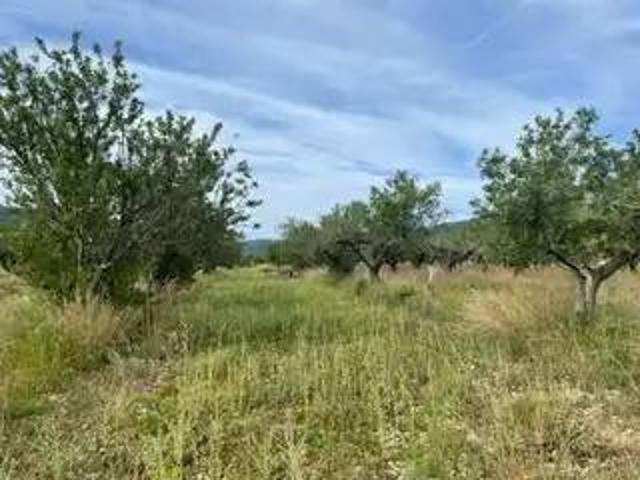 Terreno en venta en la Plana Alta, Valencia