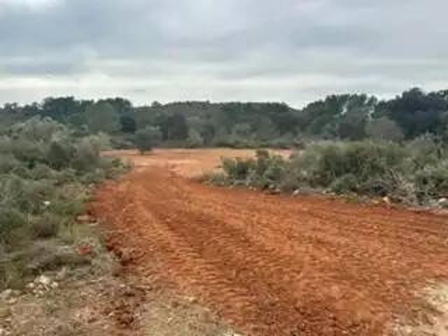 Terreno en venta en la Plana Alta, Valencia