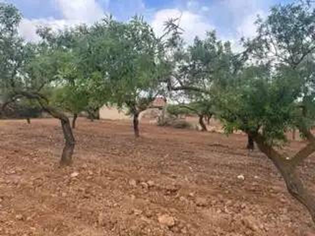 Terreno en venta en la Plana Alta, Valencia