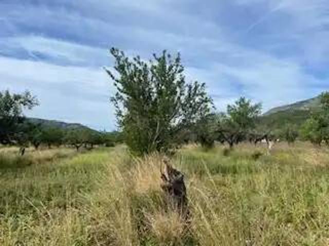 Terreno en venta en la Plana Alta, Valencia