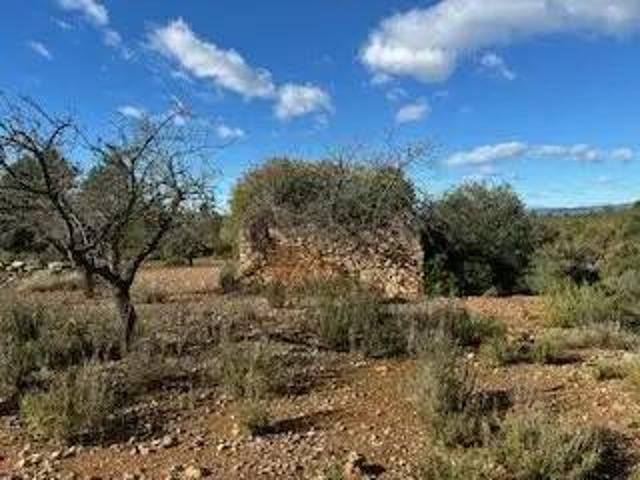 Terreno en venta en la Plana Alta, Valencia