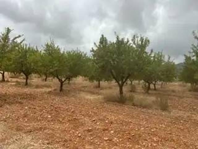 Terreno en venta en la Plana Alta, Valencia