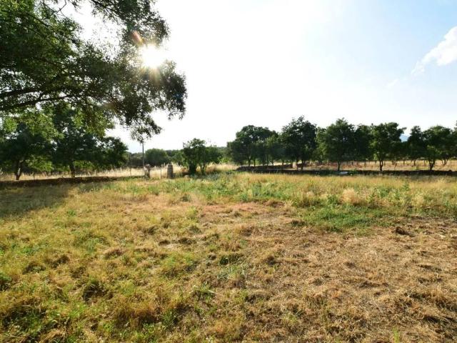 Terreno en venta en Cabanillas De La Sierra