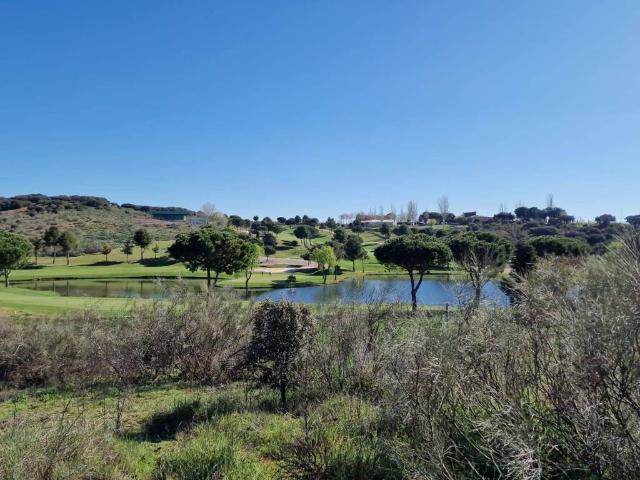 Terreno en venta en Cabanillas Del Campo