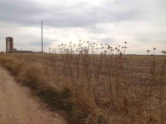 Terreno en venta en Cabañas De La Sagra, Castilla-La Mancha