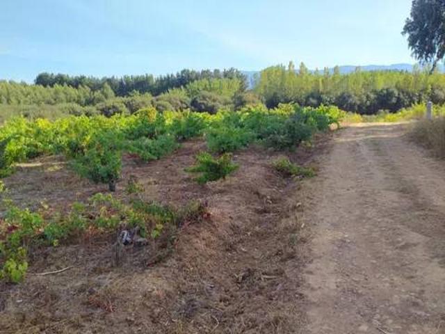Terreno en venta en El Bierzo, Castilla y León